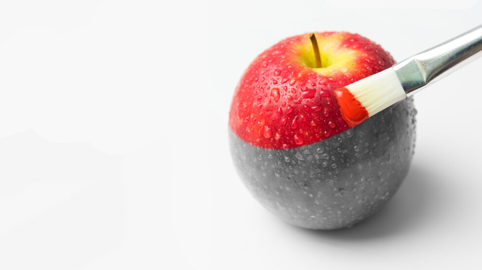 3 Essential Principles of Color Photography