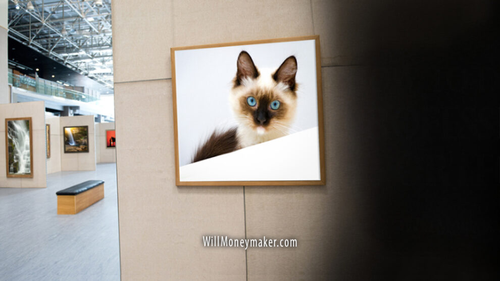 How to Design a Professional Portfolio