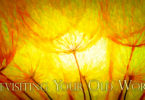 Revisiting Your Old Work
