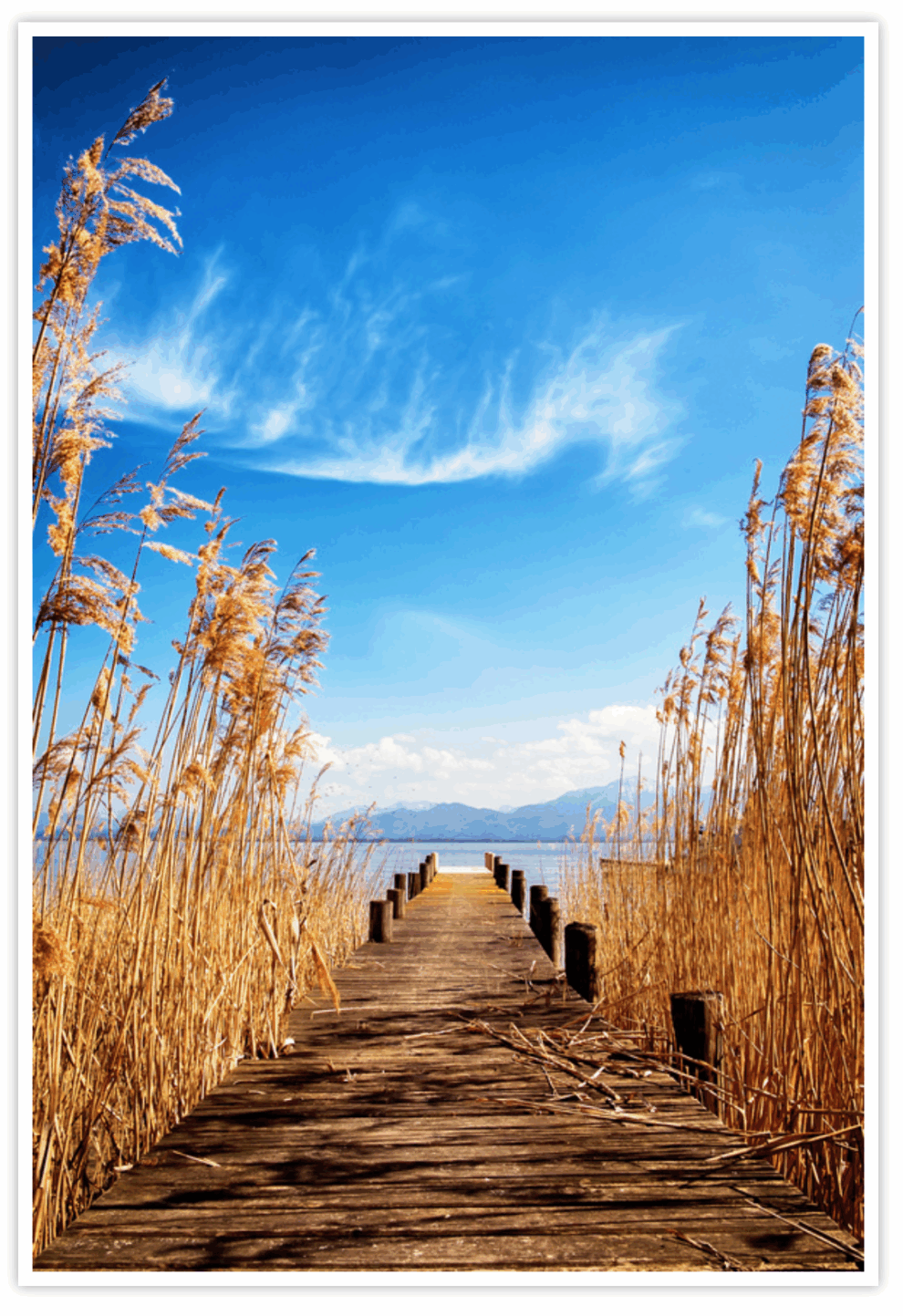 How the Right Tones Effect Your Photographs | Will Moneymaker Photography