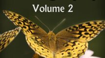 The Joy of Photography #2 (eBook)