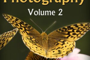 The Joy of Photography #2 (eBook)