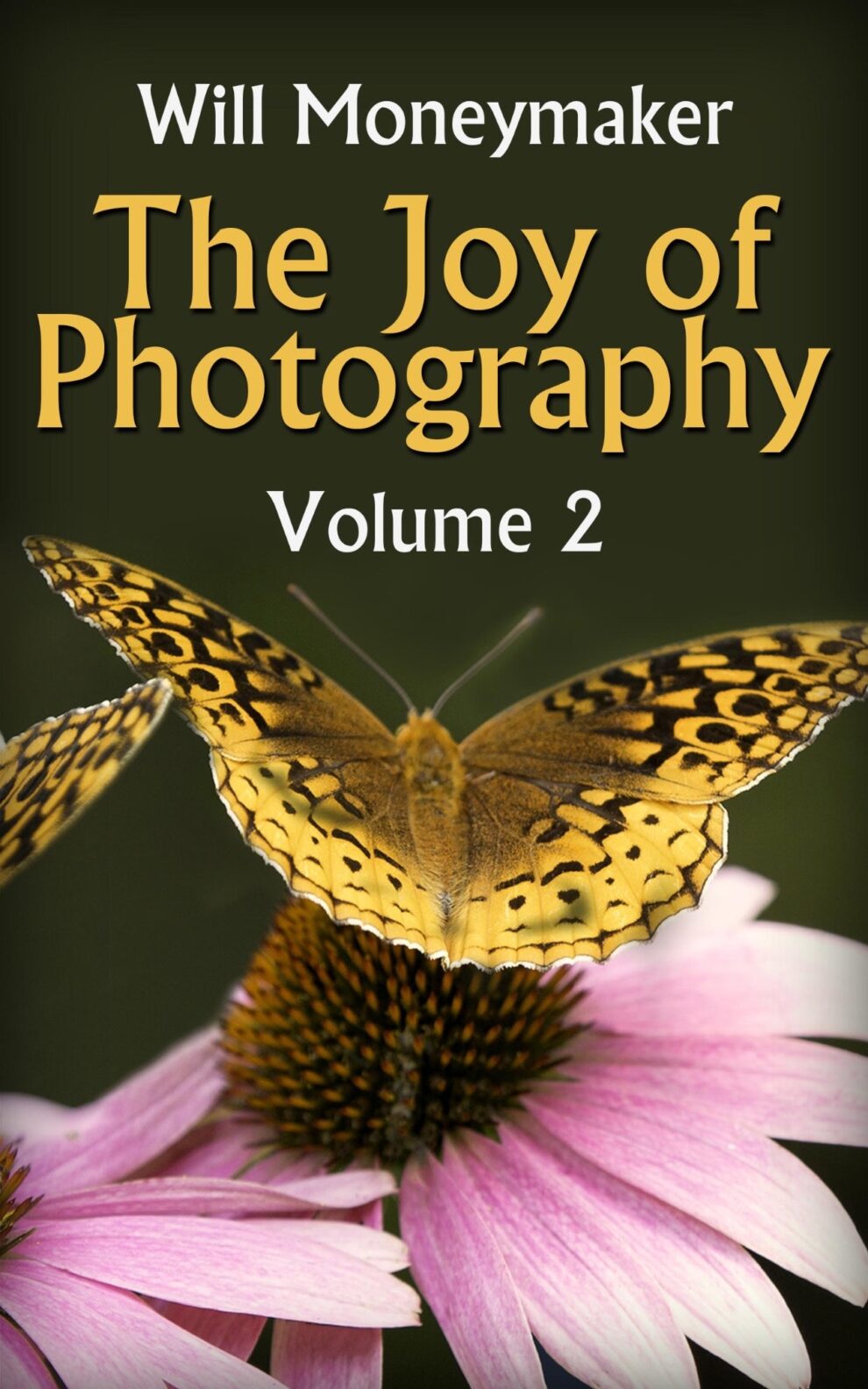 The Joy of Photography #2 (eBook)