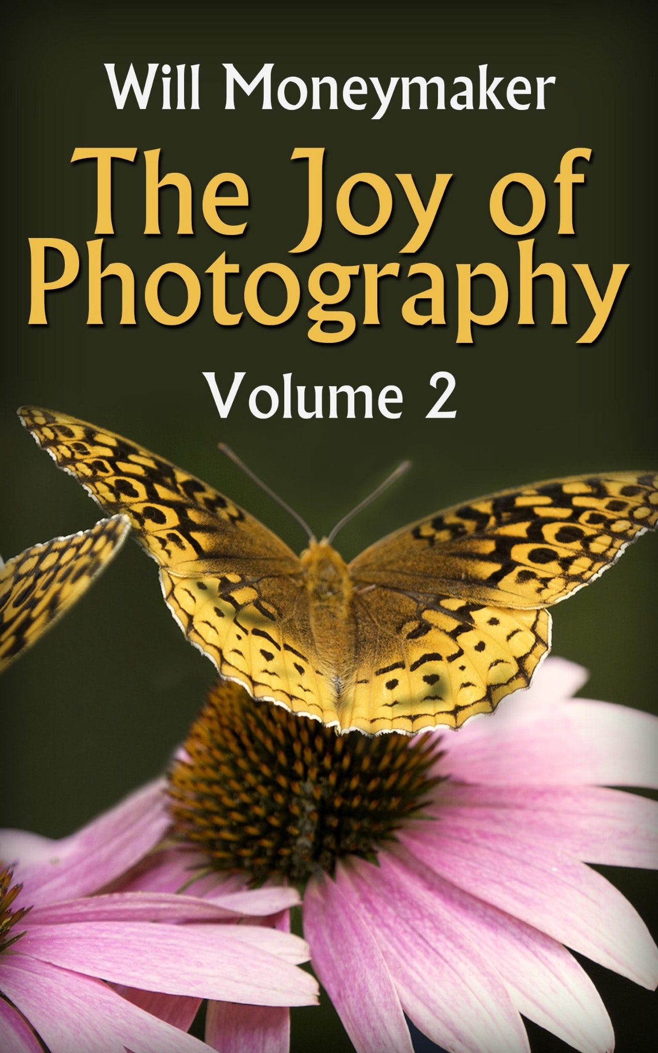 The Joy of Photography #2 (eBook)