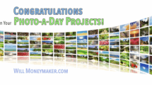 Congratulations On Your Photo-a-Day Projects! New Year, New Projects!