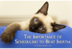 The Importance of Scheduling to Beat Inertia