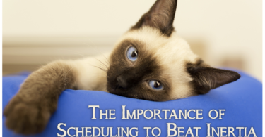 The Importance of Scheduling to Beat Inertia