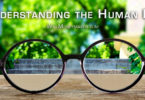 Understanding the Human Eye