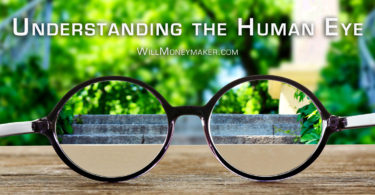 Understanding the Human Eye