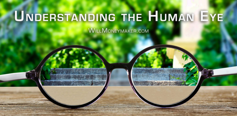 Understanding the Human Eye