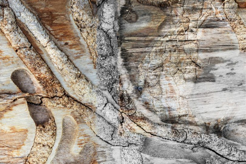 Analyzing the Abstract
