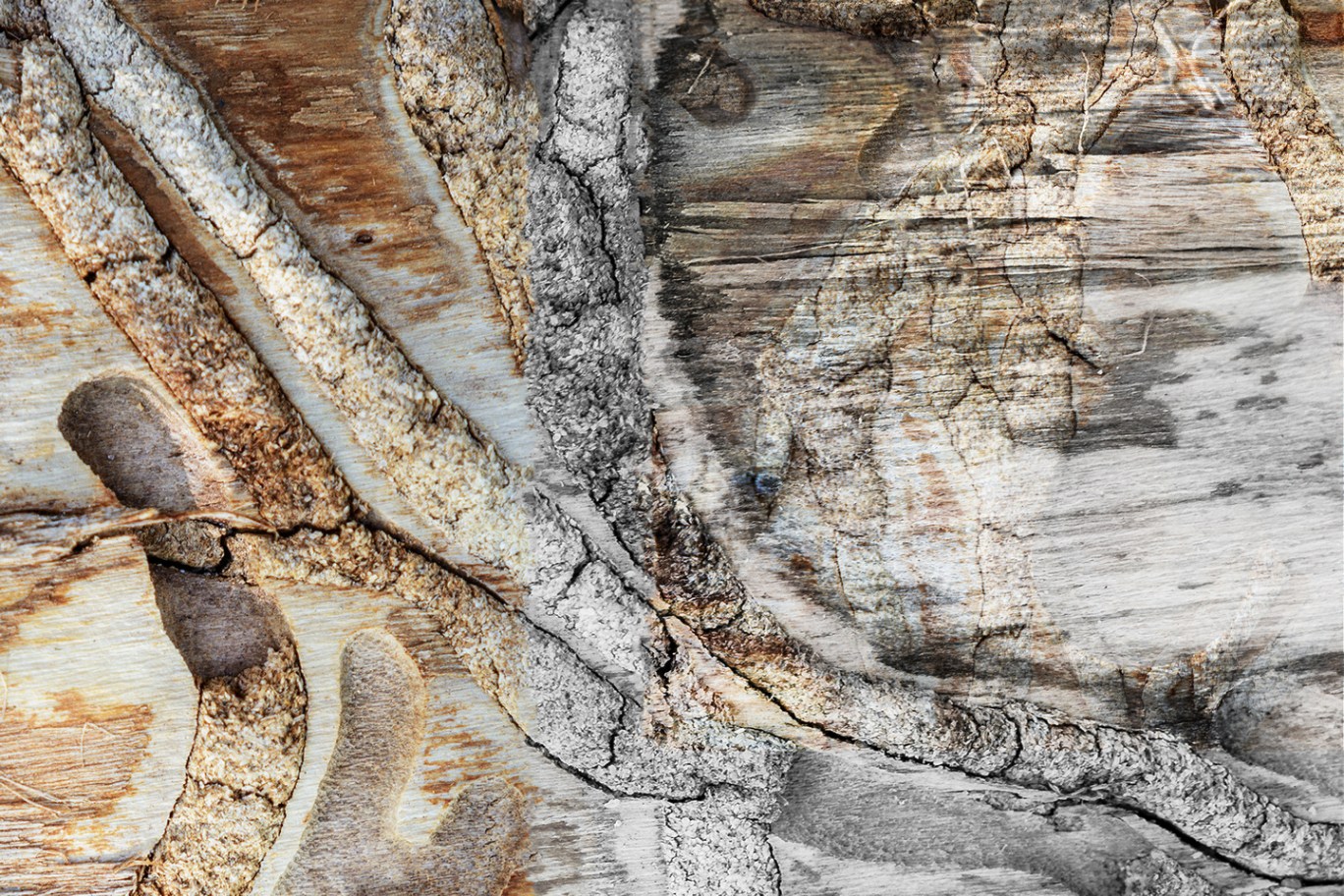 Analyzing the Abstract