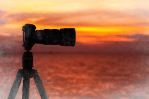 Gear Isn't Everything: Creating Art with the Camera You Have, Not the Camera You Want