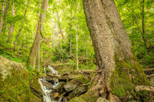 Too Much or Too Little? Building Interest in Your Images