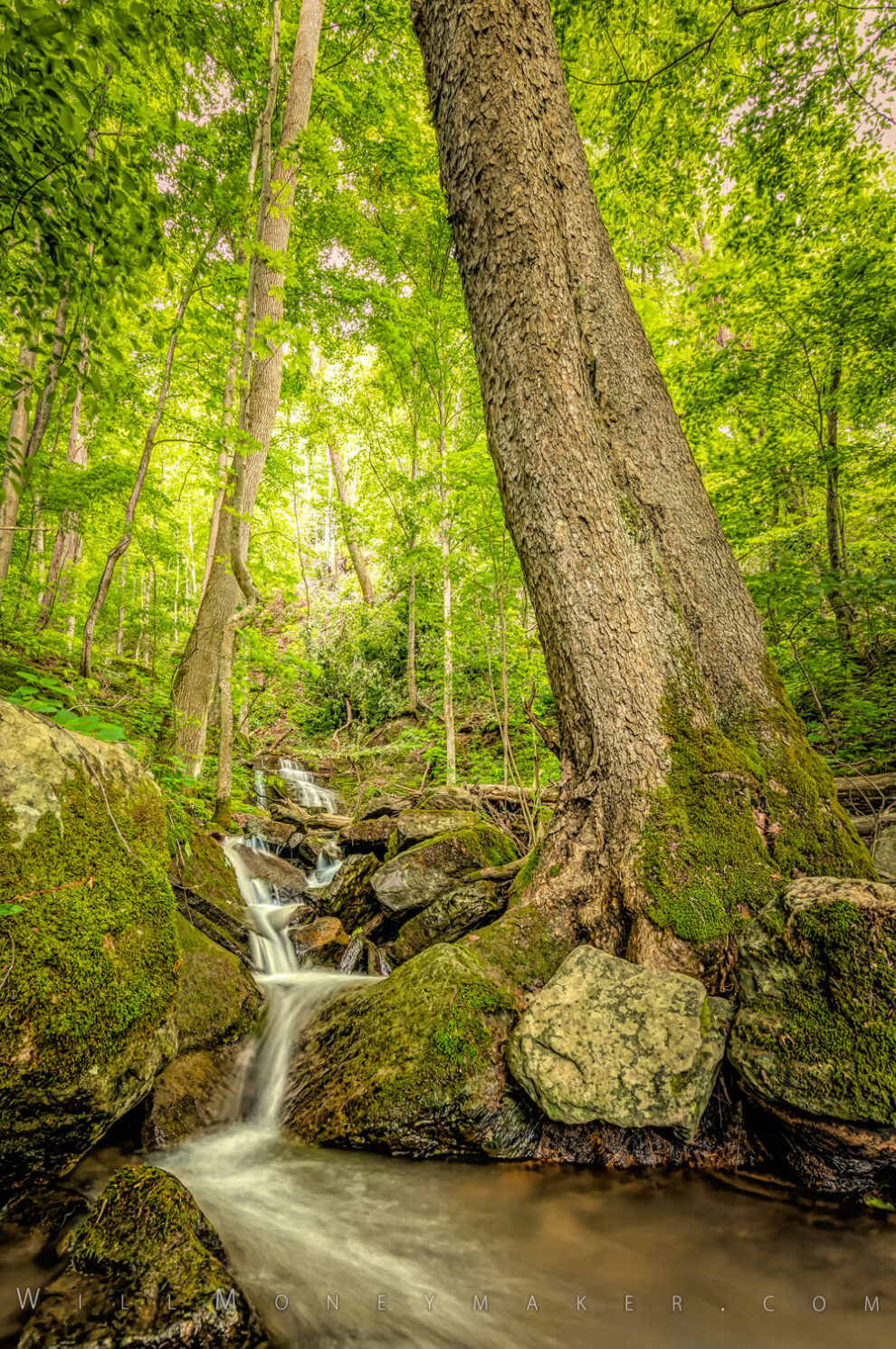 Too Much or Too Little? Building Interest in Your Images