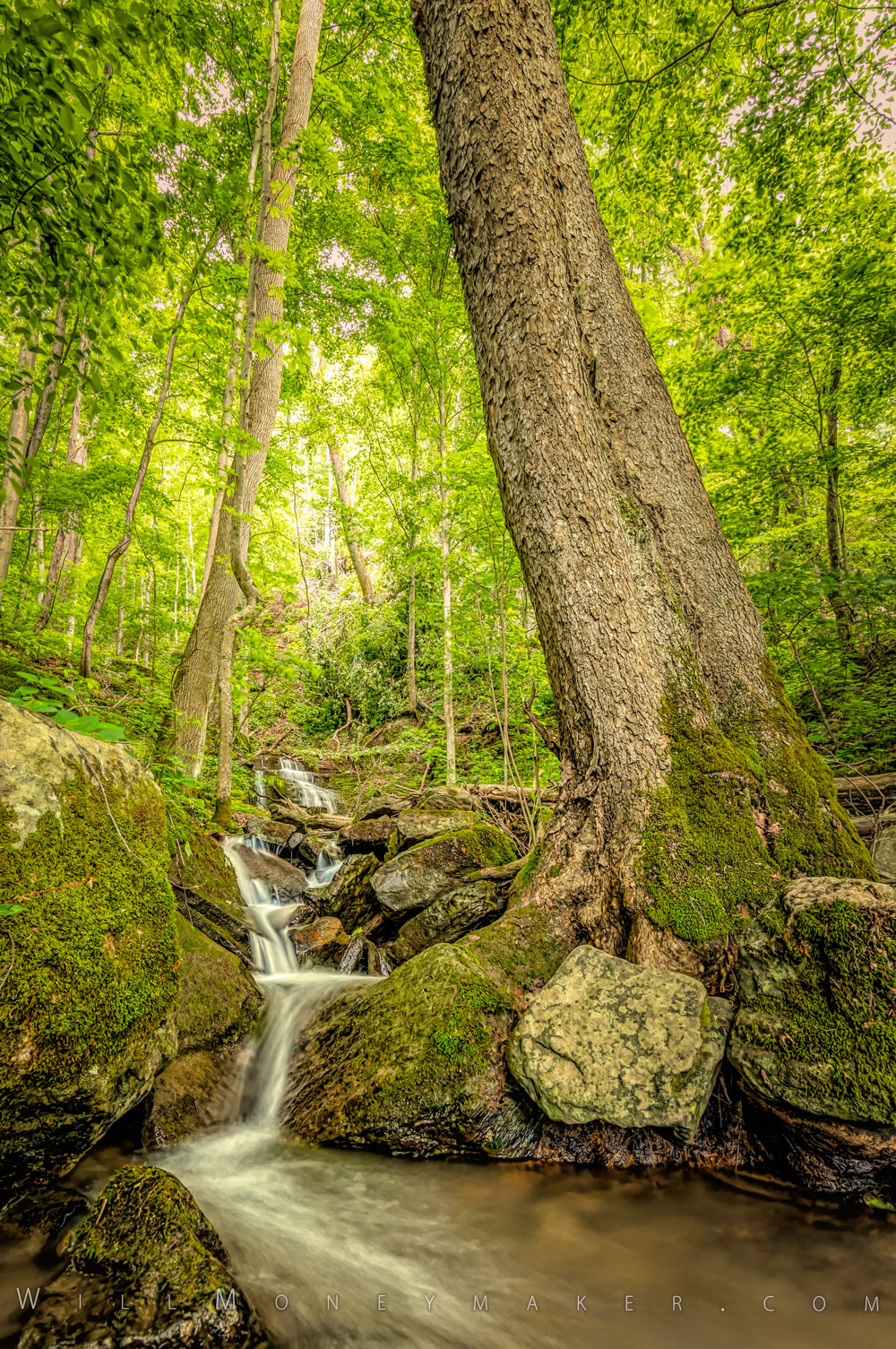 Too Much or Too Little? Building Interest in Your Images