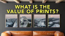 What is the Value of Prints?