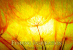 Finding Inspiration