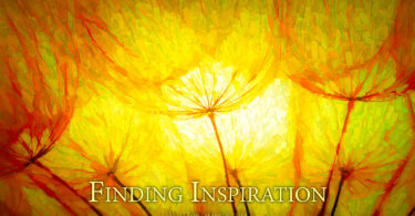 Finding Inspiration