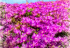 Photography for Yourself