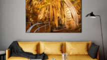 Planning Photos to Suit Your Market
