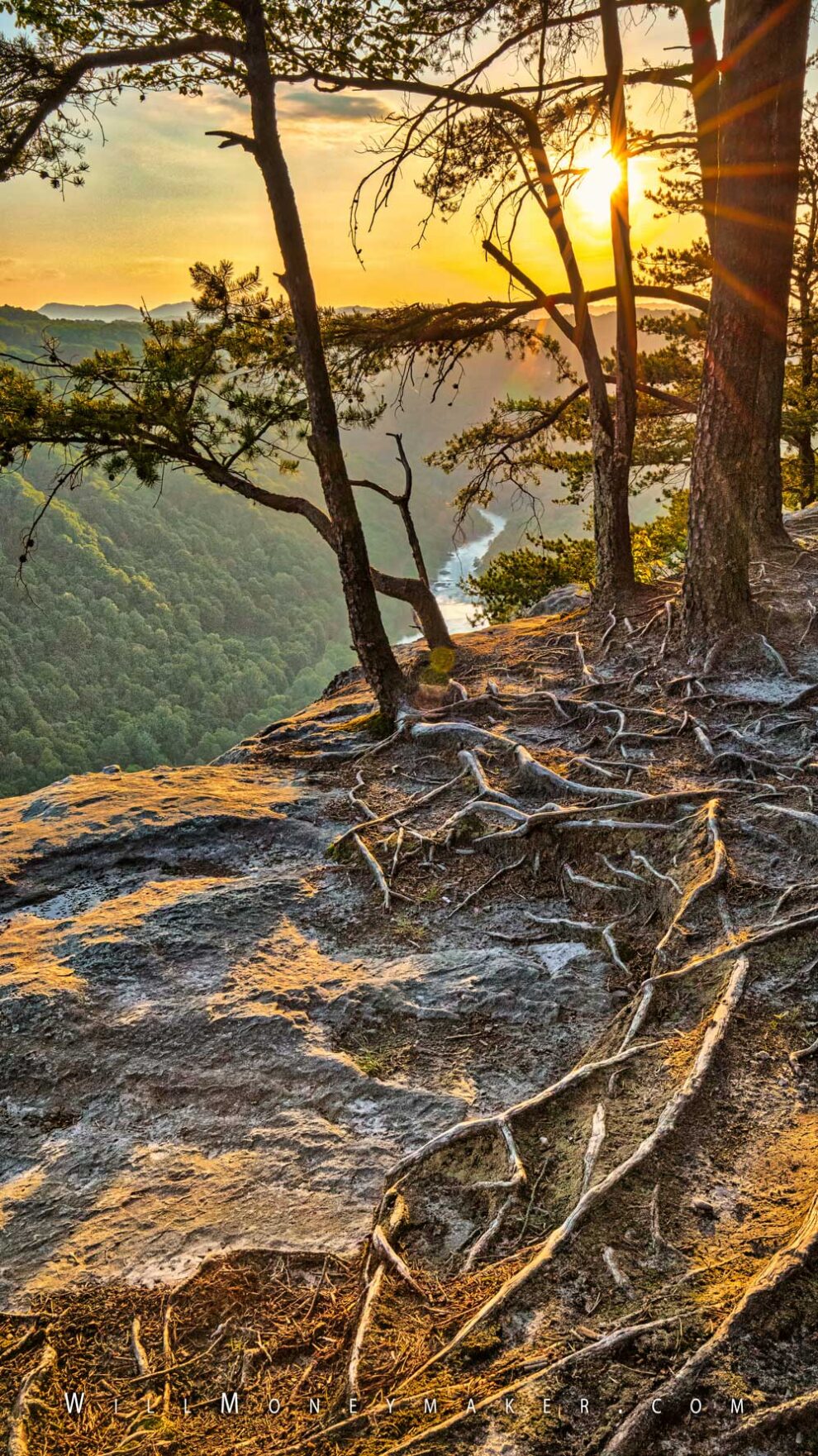 Photographer walking through a quiet landscape during golden hour