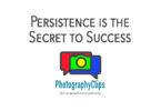 Persistence is the Secret to Success