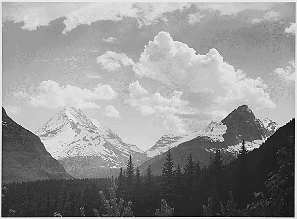 Looking across Forest to Mountains and Clouds, "In Glacier National Park," Montana.
https://catalog.archives.gov/id/519863