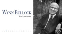Wynn Bullock: The Great Artists