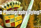 Is Photography Dying?