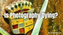 Is Photography Dying?