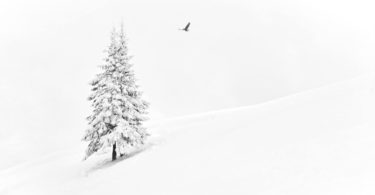 Ideas to Inspire Your Wintertime Photography