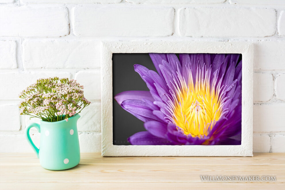 Fragmented Audiences