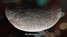 What You Can Learn from Still Life Photography