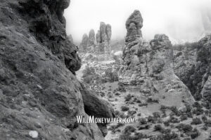 Searching for Meaning