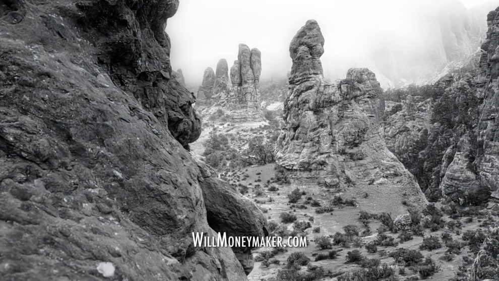 Searching for Meaning