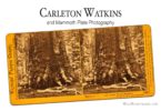 Carleton Watkins and Mammoth Plate Photography