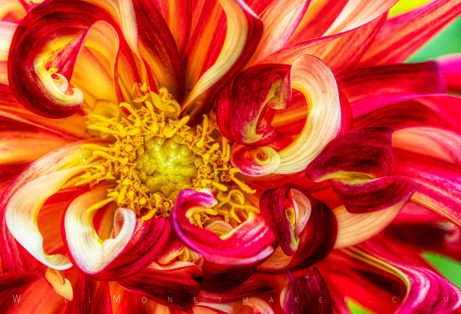 Why Photography is a Race Against Time