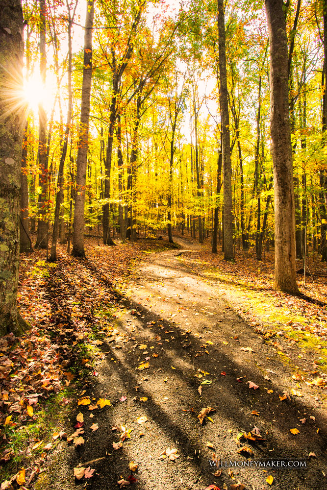 Country Roads