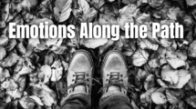 Emotions Along the Path