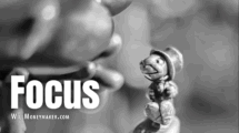 Focus