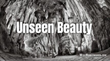 Unseen Beauty