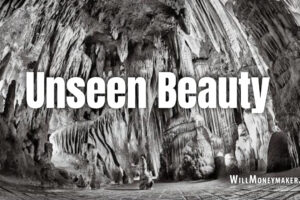 Unseen Beauty
