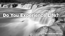 Do You Experience Life as You Pursue Art?