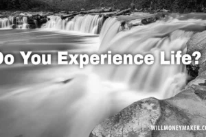 Do You Experience Life as You Pursue Art?