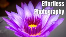 Effortless Photography