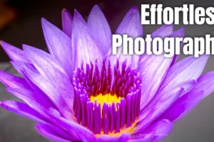Effortless Photography
