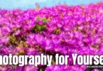 Photography for Yourself