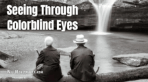 Seeing Through Colorblind Eyes