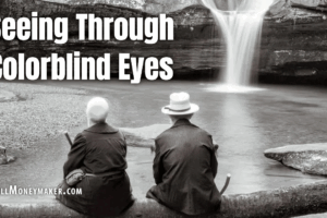 Seeing Through Colorblind Eyes